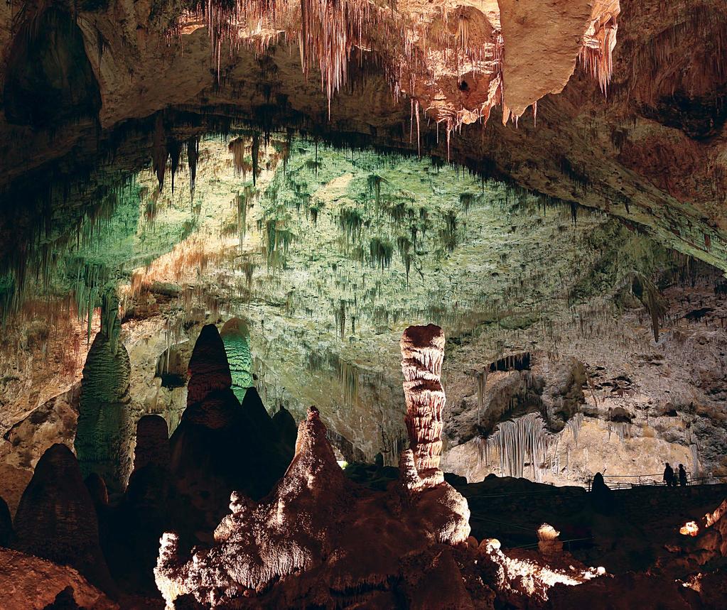 E PL M SA The Big Room of Carlsbad Caverns, shown here, covers between