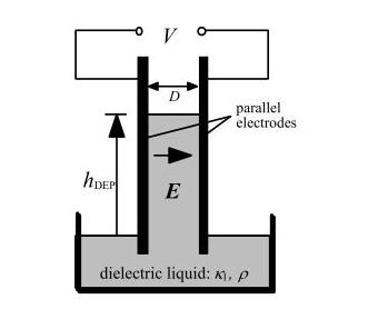 Dielectrophoretic Forces (a) A liquid of dielectric constant k2>k1 is drawn in to the high field