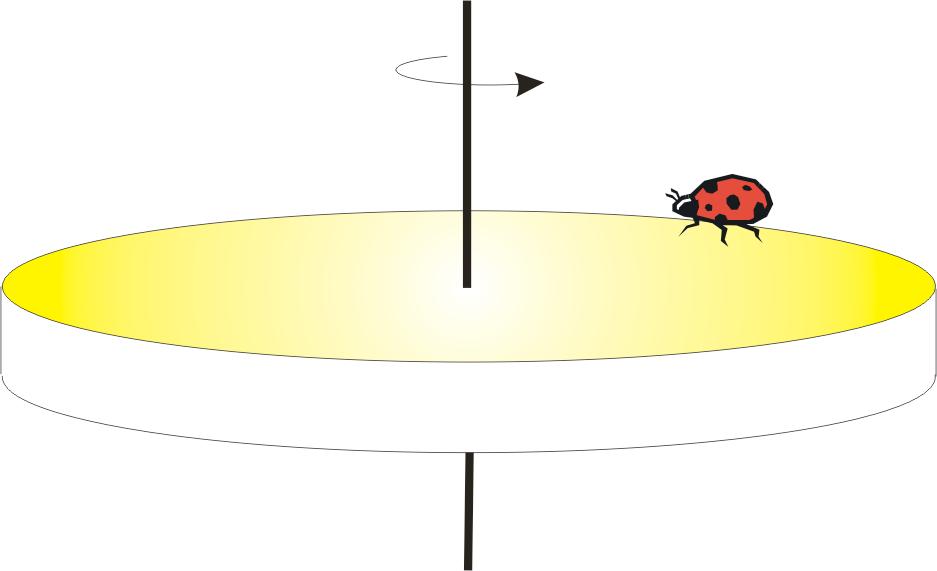 Example #1 A beetle rides the rim of a rotating merry-go-round. If the angular speed of the system is constant, does the beetle have a) radial acceleration and b) tangential acceleration?