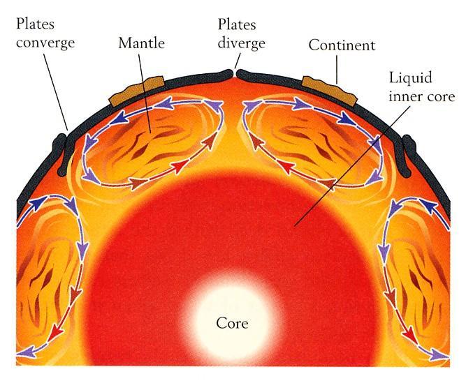Plate Movement - Convection Trench Oceanic ridge Hess oceanic rocks are replaced every 300 400 Ma due to
