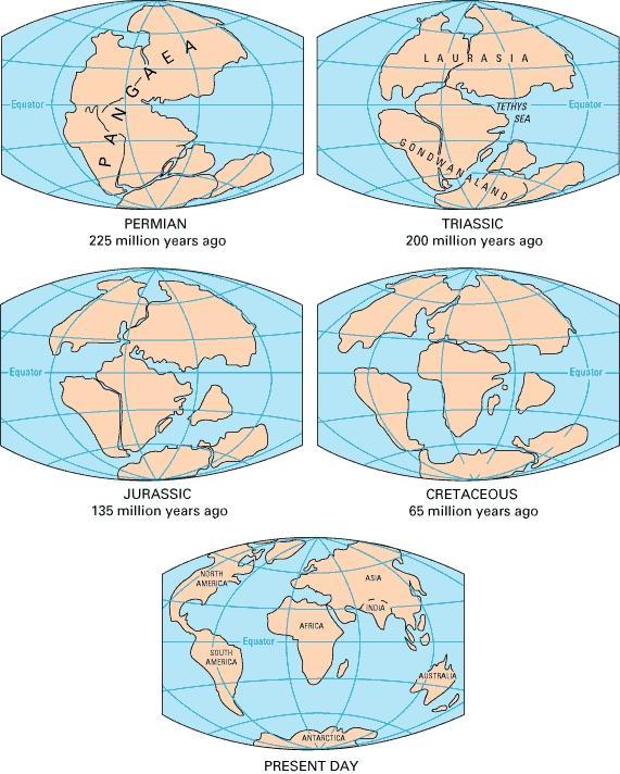 Evidence for Continental Drift Past climates and the distribution of sedimentary rocks According to the continental drift theory, the