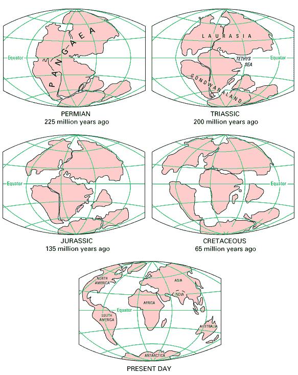 CONTINENTAL DRIFT Alfred Wegner proposed the theory that the crustal plates are moving over the mantle.