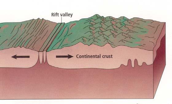 A rift valley develops in a continental rift zone because continental crust stretches,