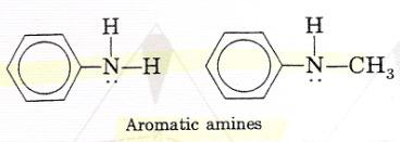 Classification and Structure of Amines -The relation between ammonia and amines is illustrated by the following structures: - Amines are classified as primary, secondary, or tertiary, depending on