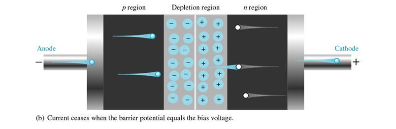 How reverse bias works: The negative side of the source attracts holes in the p region away from the pn junction, while the positive side of the source attracts electrons away from the junction due