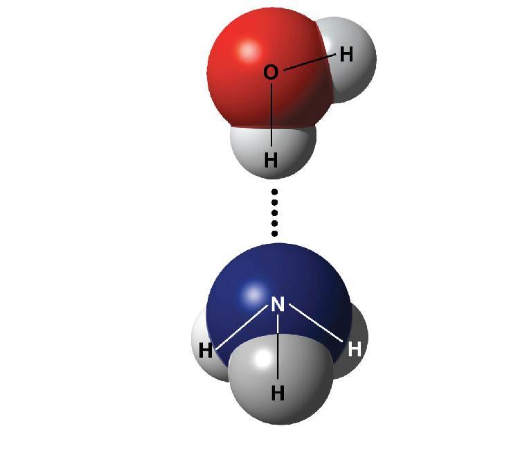 ydrogen Bonds Figure 2.