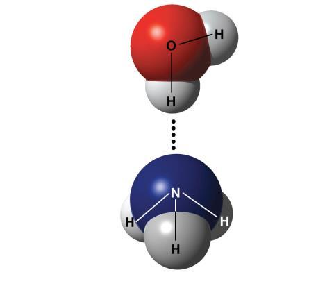 Weak Chemical Bonds Most of the strongest bonds in organisms are covalent bonds that form a cell s molecules Weak chemical bonds are also indispensable Many large biological molecules are held in