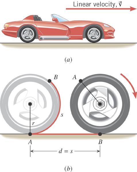 8.3 Rolling Motion The tangential speed of a point on the outer edge of the