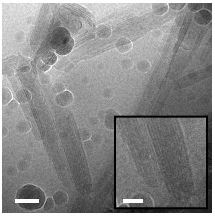 Fig. S5 Cryo-TEM image of DOPC liposomes in the presence of H 4 TPPS 2 at ph 2.0.
