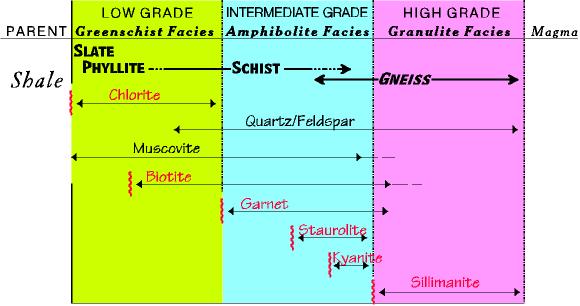 The mineral chlorite indicates low grade metamorphism; biotite and muscovite indicate low to intermediate grade metamorphism (3).