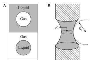 Young-Laplace Equation A liquid meniscus with radii of