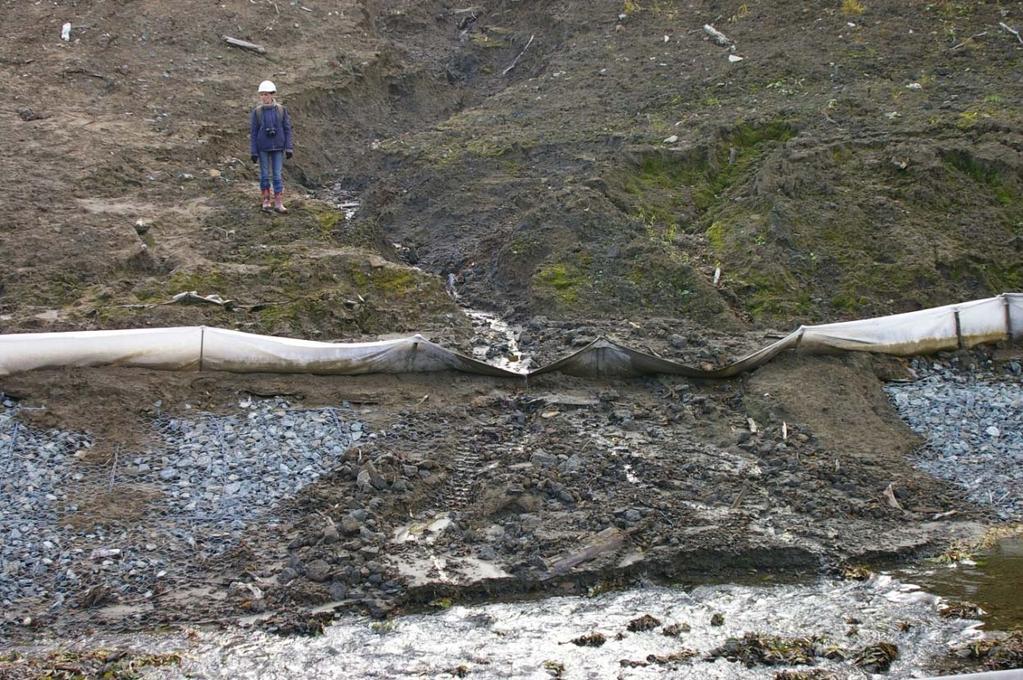 October 23, 2007: KP 491.4. Right bank of the Krutoyarka River.