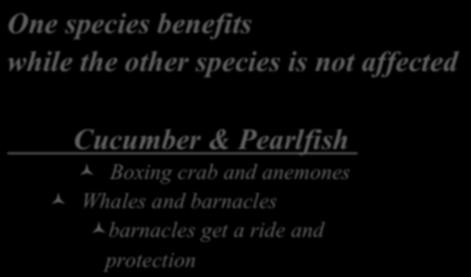 Commensalism** One species benefits while the