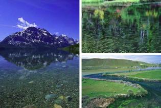Fresh Water Lakes Marine Oligotrophic nutrient poor Eutrophic nutrient rich Rivers different community