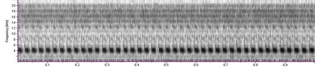 55 Fig. 6. The dominant frequency of song of male O. walkeri is 4.1kHz at 19.1 C. A B C D Fig. 7.