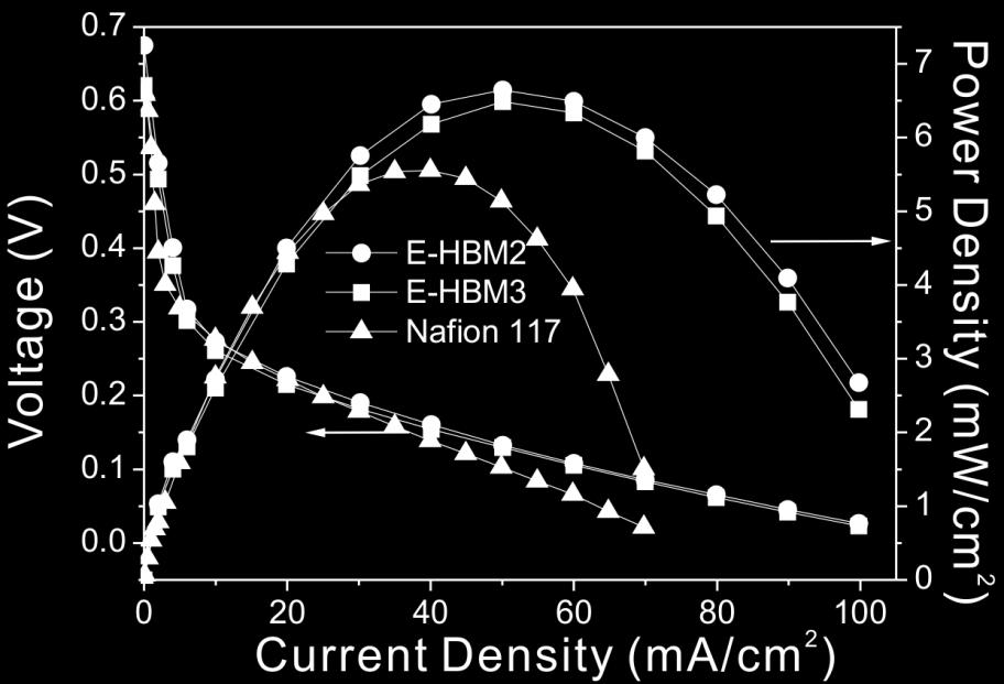 passive DMFCs using the E-HBM2, E-HBM3