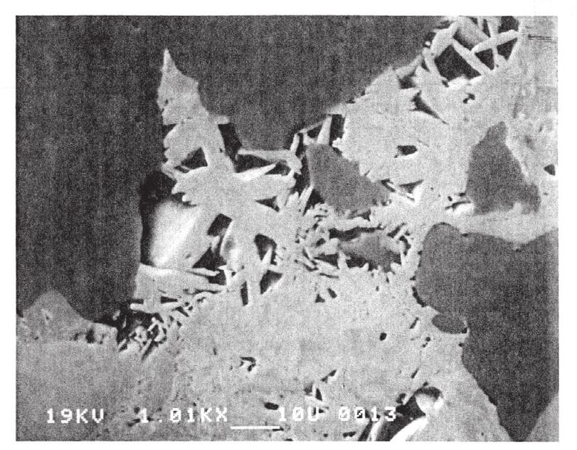 Figure 8. SEM back-scattered electron image of a fracture close to the margin of a small dike in amphibolite, EE-3A 12438-51A.