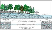 Understanding groundwater Groundwater moves from areas of high water levels to low water levels (hydraulic gradient) Groundwater can leak into or