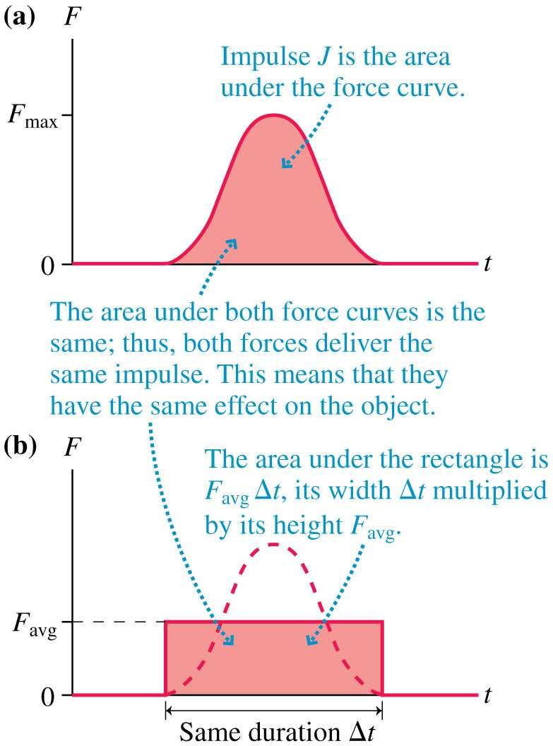 Impulse It is useful to think of the collision in terms of an average force F avg.