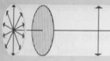 1 st : Refresher on the nature of light electric vector In a light beam: many randomly oriented waves like this one magnetic vector Light = a wave with oscillating electric & magnetic fields that are