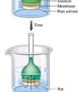 the solution through the semipermeable membrane.
