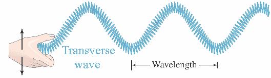 WAVES Displacement: distance of a point from its undisturbed position Amplitude: maximum displacement of particle from undisturbed position