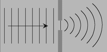 8 Double-Slit Interference Air Columns: A tuning fork held at the mouth of an open tube projects a sound wave into the
