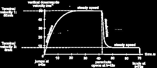 parabolic (y x 2 ) Without air Resistance With air Resistance Component of Velocity Horizontal Vertical Constant Increases at a constant rate Decreases to zero 3.