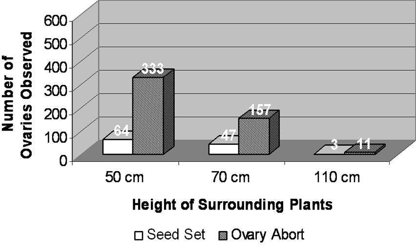 exposed environment. To compare the pollination success between these different growing conditions, ovary development (successful pollination) (Fig. 2) vs. ovary abortion (no pollination) (Fig.