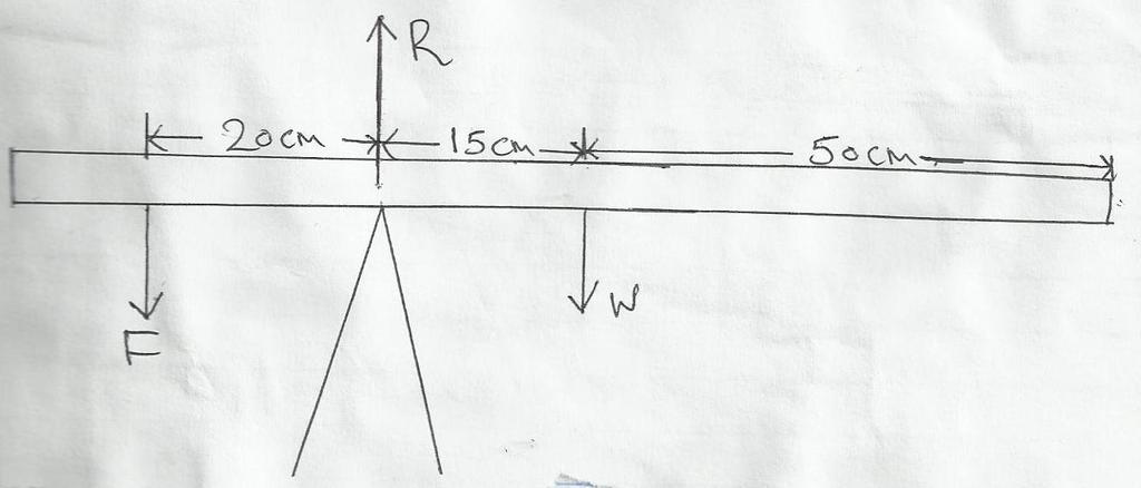 (ii) The strip is placed on a pivot and kept in equilibrium by forces as