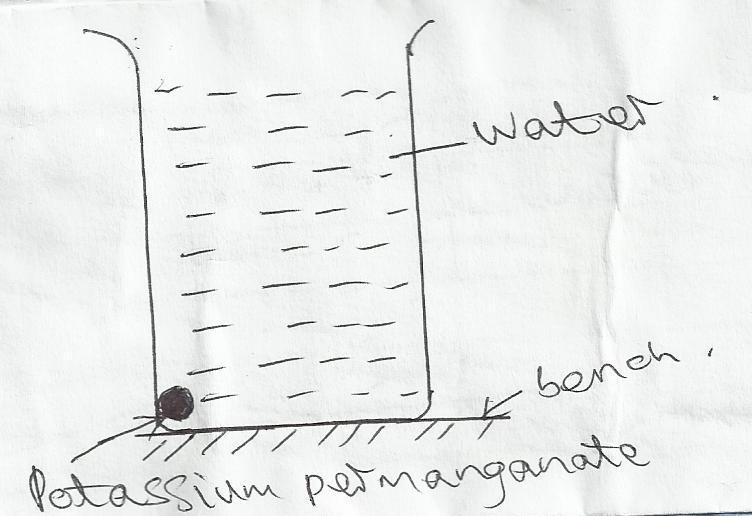 10. In an experiment a crystal of potassium permanganate was placed in water as shown below. After sometime, it was observed that the water turned purple. Explain this observation. (1 mark) 11.