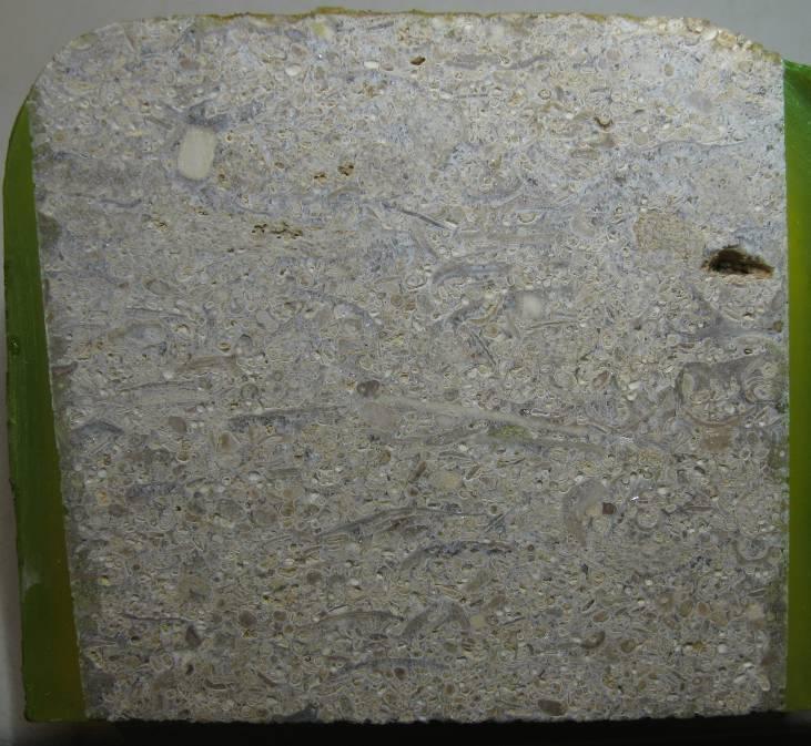 BS EN 12407 Petrographic Examination of Natural Stone Sample Description Name of Stone: Ancaster Petrographic Nature: Limestone Block No: Not applicable Anisotropic Features: None Supplier: Goldholme