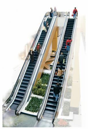 18.2 Reversible Reactions If the rate of the shoppers going up the escalator is equal to the rate of the