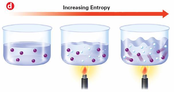 18.4 Entropy Entropy tends to increase when temperature increases.
