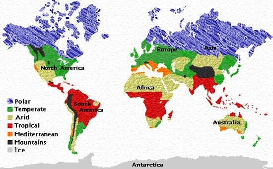 CLIMATIC ZONES OF THE WORLD Polar - very cold and dry all year Temperate - cold winters and mild summers Arid - dry, hot