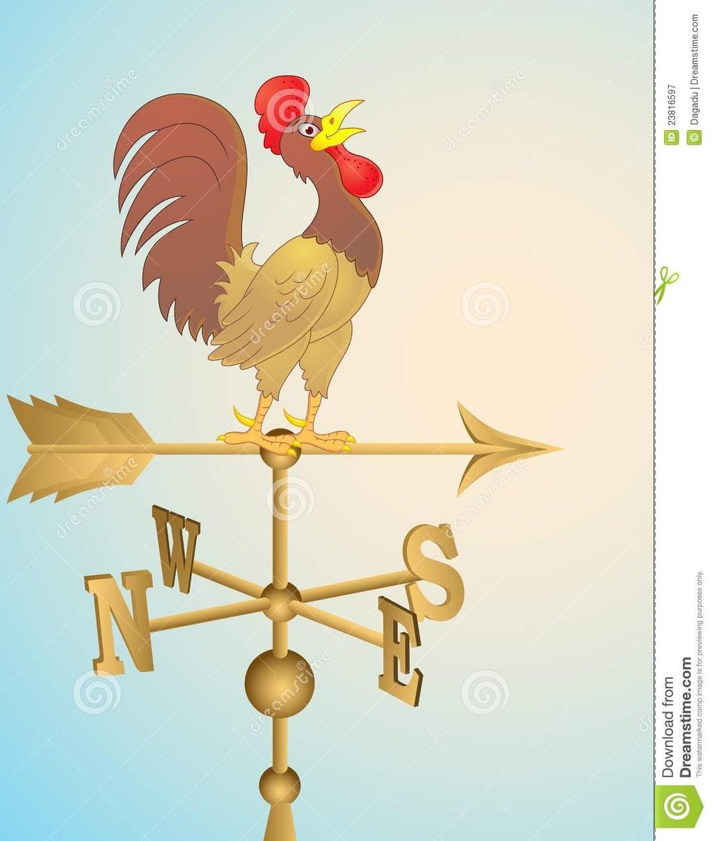 A WIND VANE is an instrument that determines the