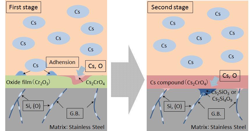 Cs-chemisorption behavior objective- Cs-chemisorption onto structural material surface Formation of insoluble Cs-compounds, becoming fixed source (about ~10kg by a rough estimation) Occurring at