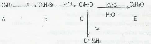 (e) Give reagents and observations of a simple chemical test to identify the presence of the amino group in a compound.
