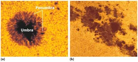 Sunspots - low-temperature regions in the photosphere Sunspot Cycle -