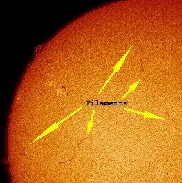 filaments of gas can also be seen in the chromosphere Filaments The outermost layer of the