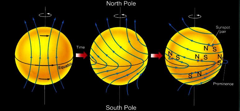 Sun's magnetic field changes direction every 11 years.
