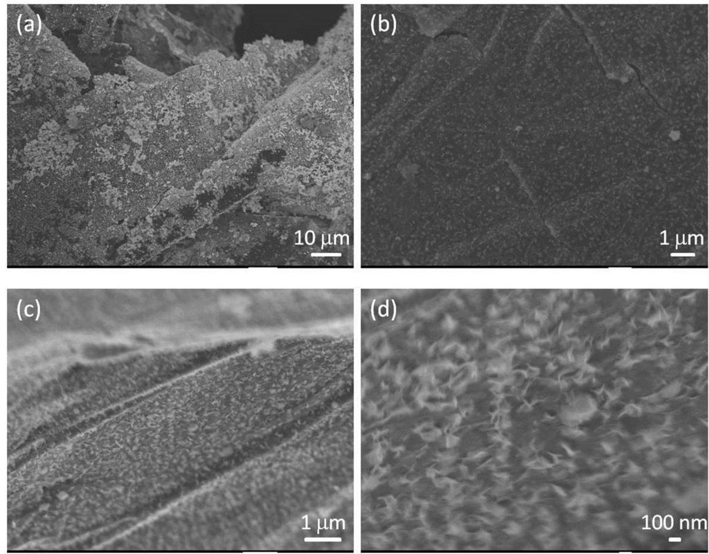 Fig. S5 Typical FESEM images of the GF/NiCo 2 O 4 hybrid film after annealed in H 2