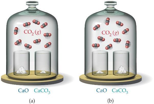 P a g e 9 CaCO3 (s) CaO (s) + CO2 (g) The equilibrium involving CaCO3, CaO, and CO2 is a heterogeneous equilibrium.