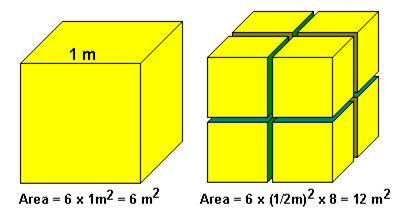 Model of Surface-to-Volume Comparisons Single Box Ratio 6 m 2 1 m 3 = 6 m 2 /m 3 Smaller Boxes Ratio 12 m 2 1 m 3 = 12 m 2 /m 3 Neglecting spaces between the smaller