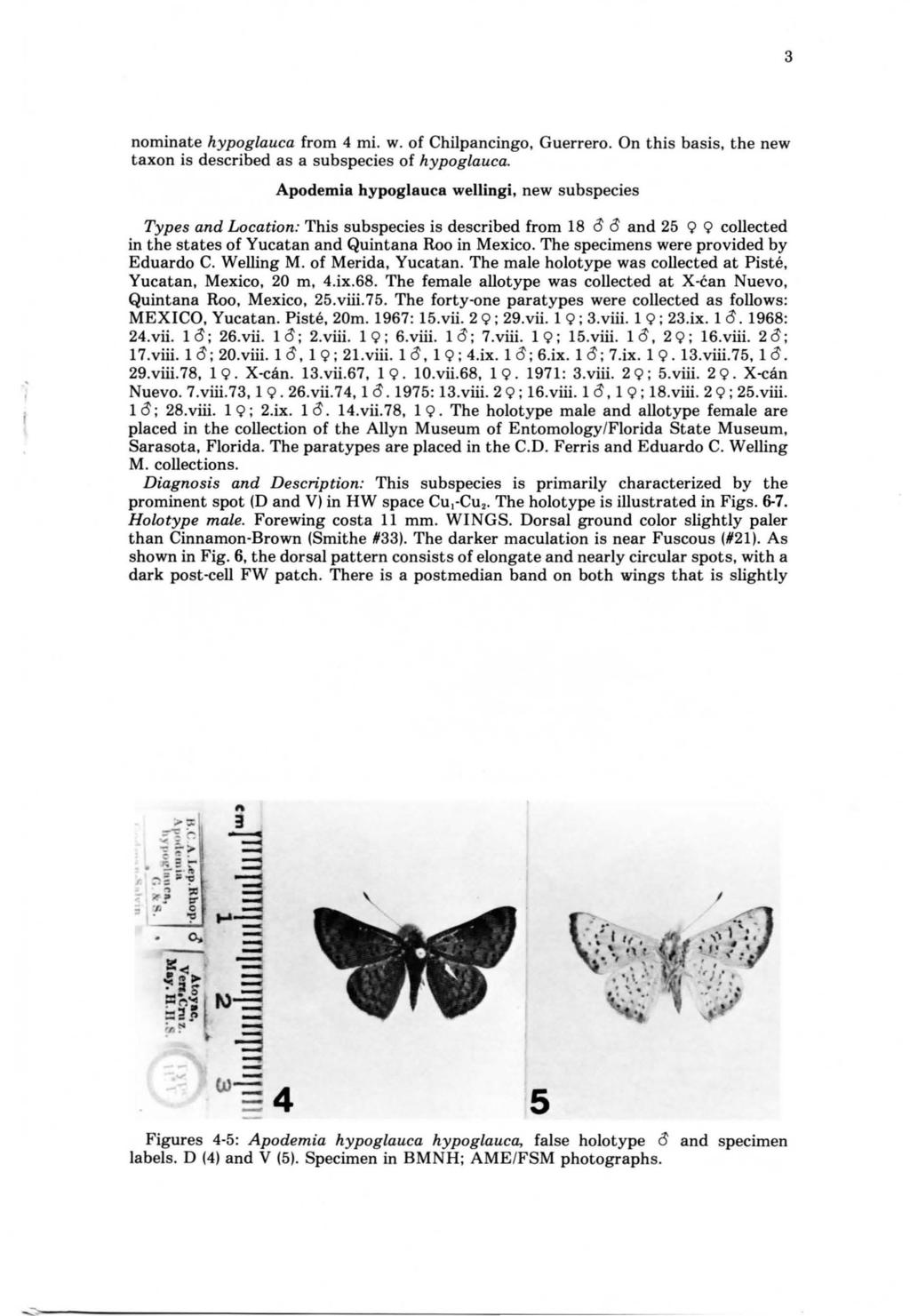 3 nominate hypoglauca from 4 mi. w. of Chilpancingo, Guerrero. On this basis, the new taxon is described as a subspecies of hypoglauca.