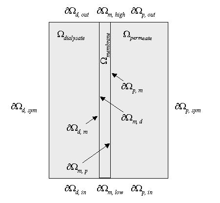 Figure 4: Diagram of the concentration profile across the membrane (see Equation 7).