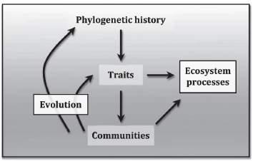 Future of Molecular Systematics... Systematics meets Ecology... 1. Biogeography 2.