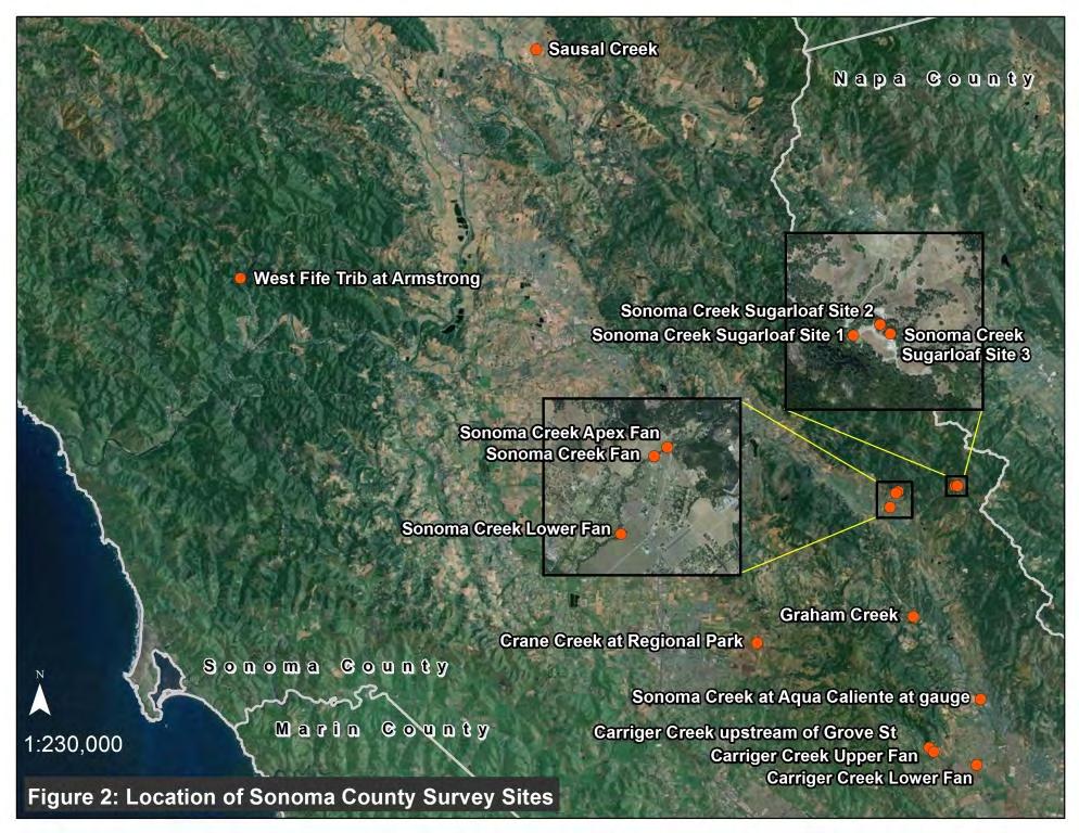 MARIN AND SONOMA COUNTIES REGIONAL CURVES REPORT Figure 6: The map shows the locations of Sonoma County Survey Sites.