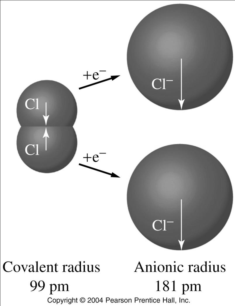 Ionic radii- anions Anions are larger than the atoms from which they are formed.