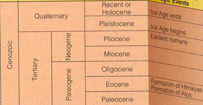 Periods Tertiary Paleocene, Iocene,